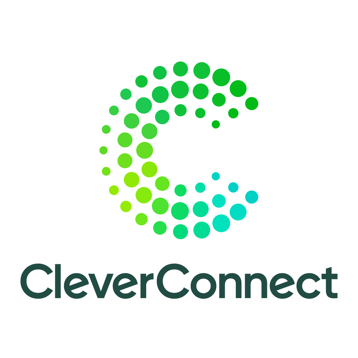 CleverConnect Logo